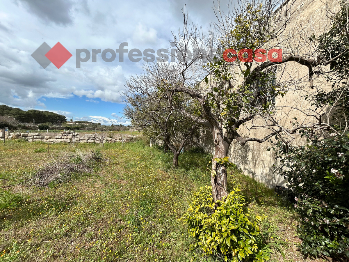 Foto 4 di 8 - Terreno in vendita a Poggiardo