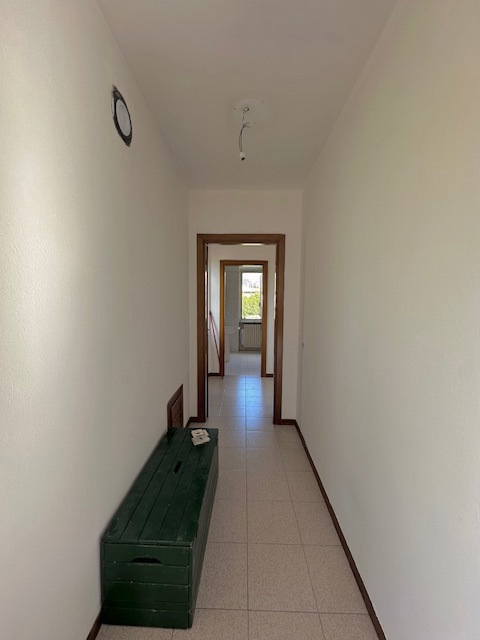 Foto 4 di 5 - Appartamento in affitto a Assisi