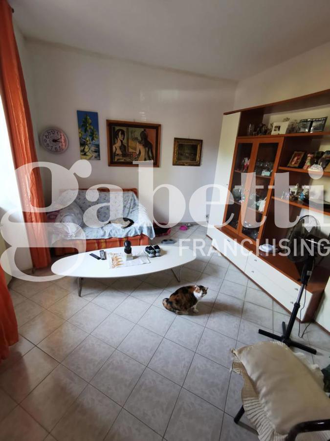 Foto 19 di 20 - Appartamento in vendita a Colleferro