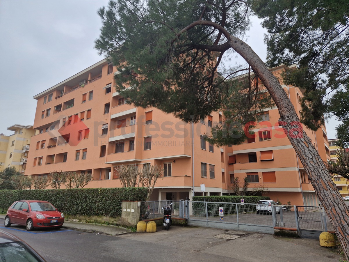 Foto 14 di 16 - Appartamento in vendita a Pisa