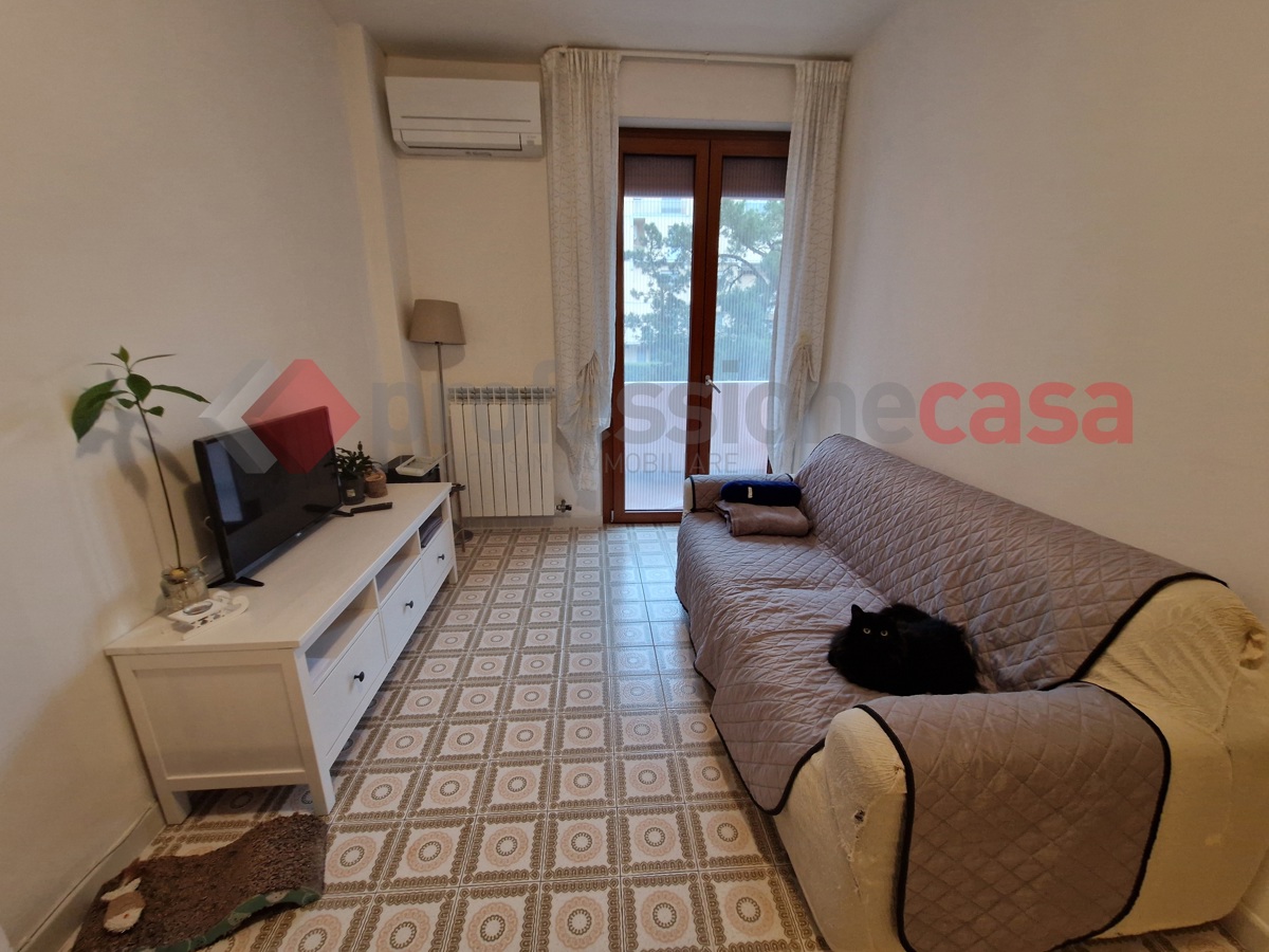 Foto 3 di 16 - Appartamento in vendita a Pisa