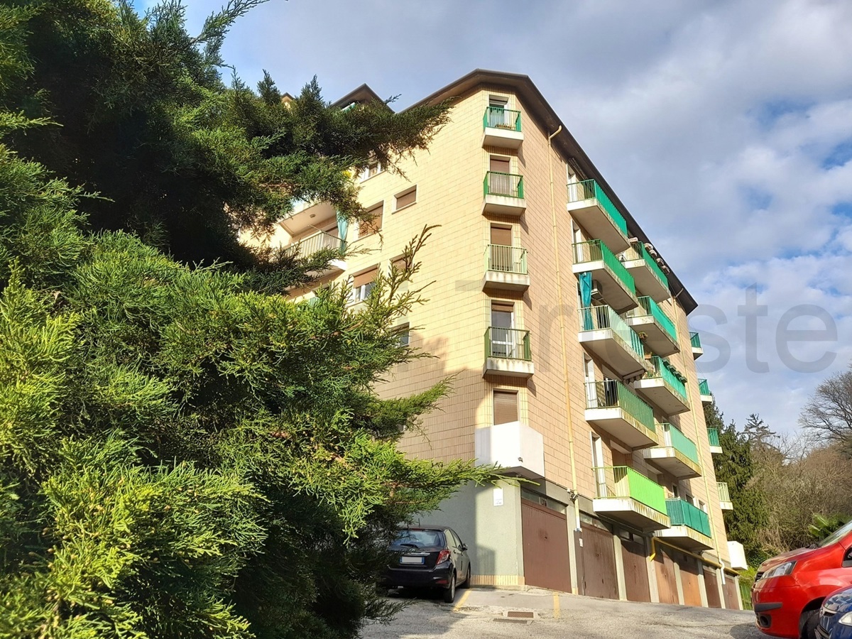 Foto 1 di 8 - Appartamento in affitto a Trieste