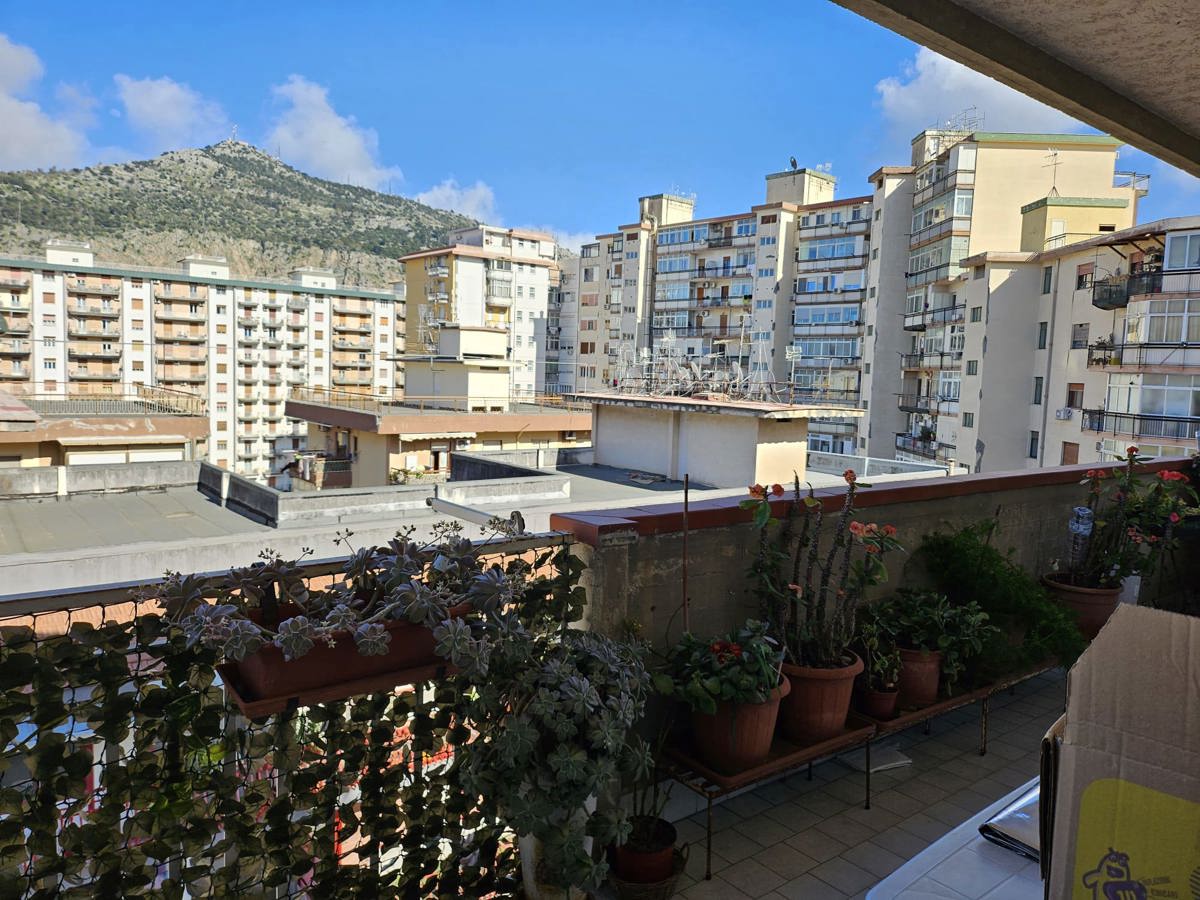 Foto 11 di 13 - Appartamento in affitto a Palermo
