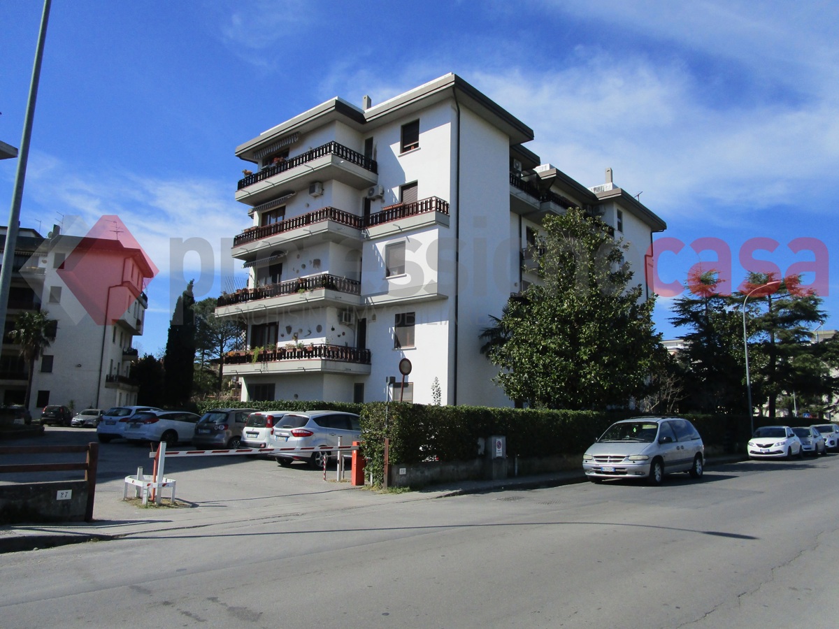 Foto 1 di 19 - Appartamento in vendita a Pisa