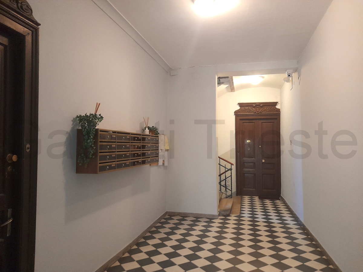 Foto 2 di 9 - Appartamento in affitto a Trieste
