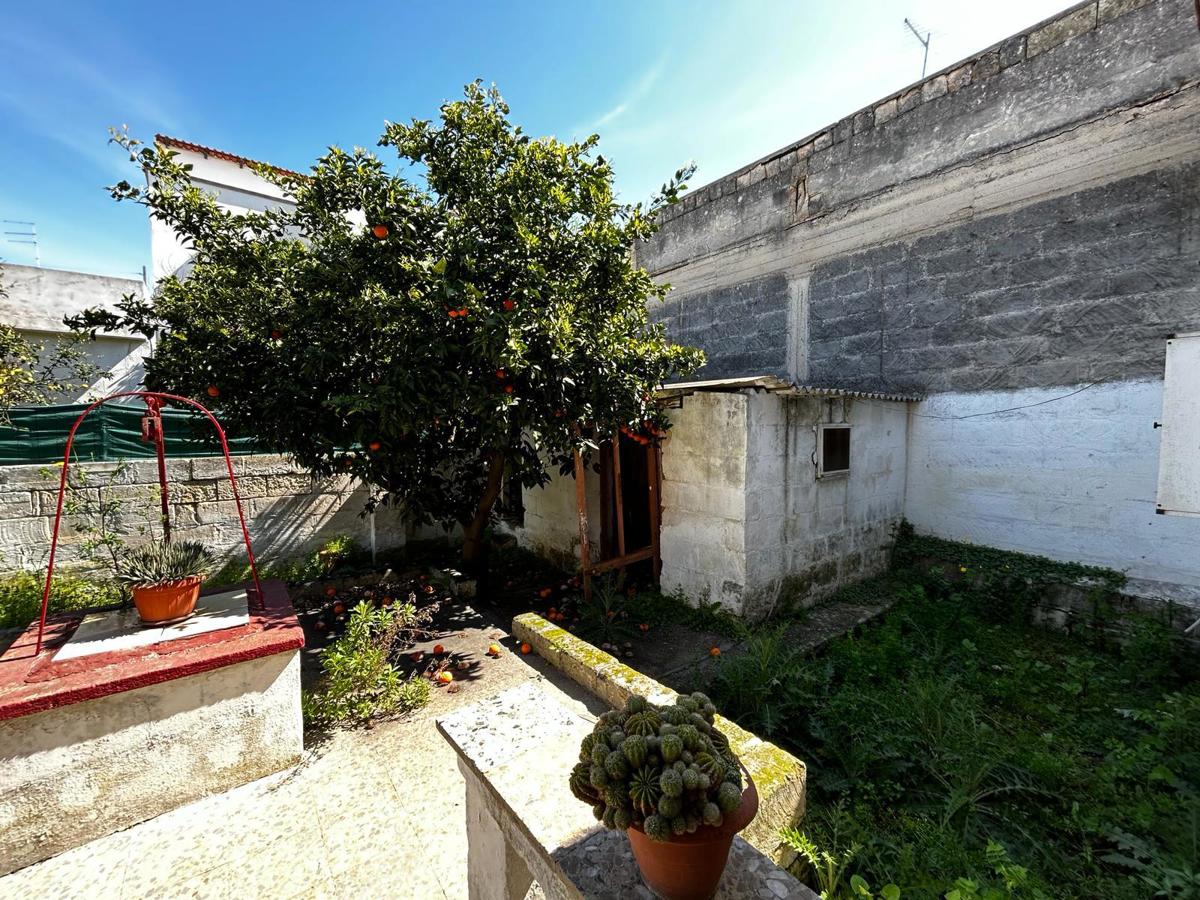Foto 20 di 30 - Casa indipendente in vendita a Pulsano