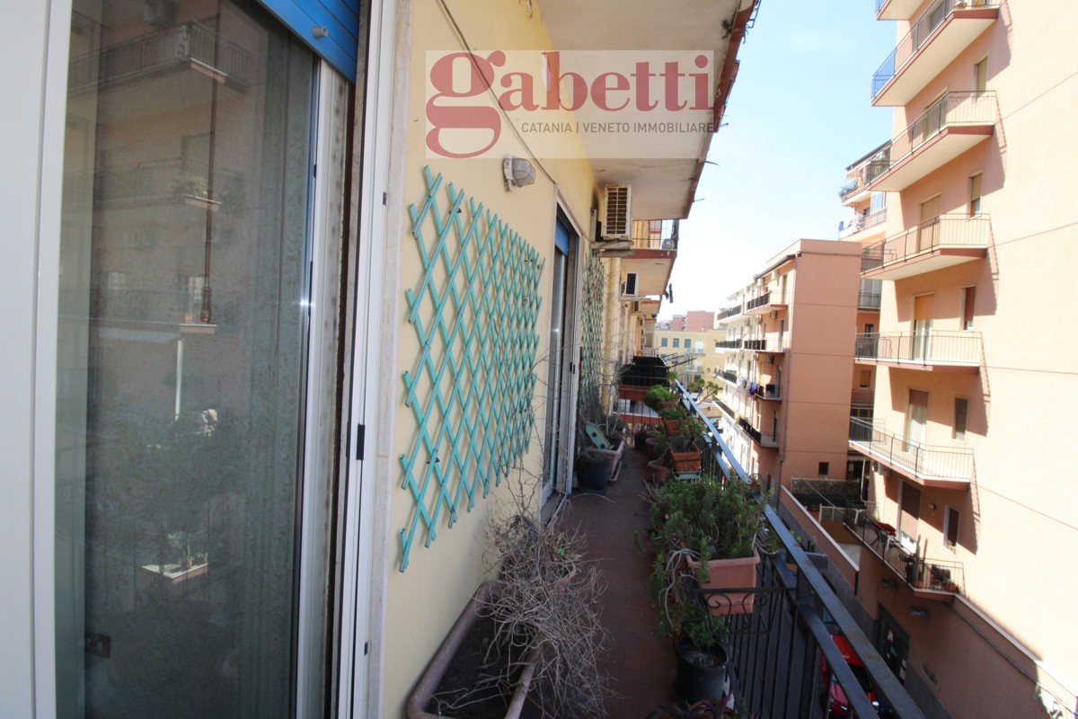 Foto 6 di 25 - Appartamento in vendita a Catania