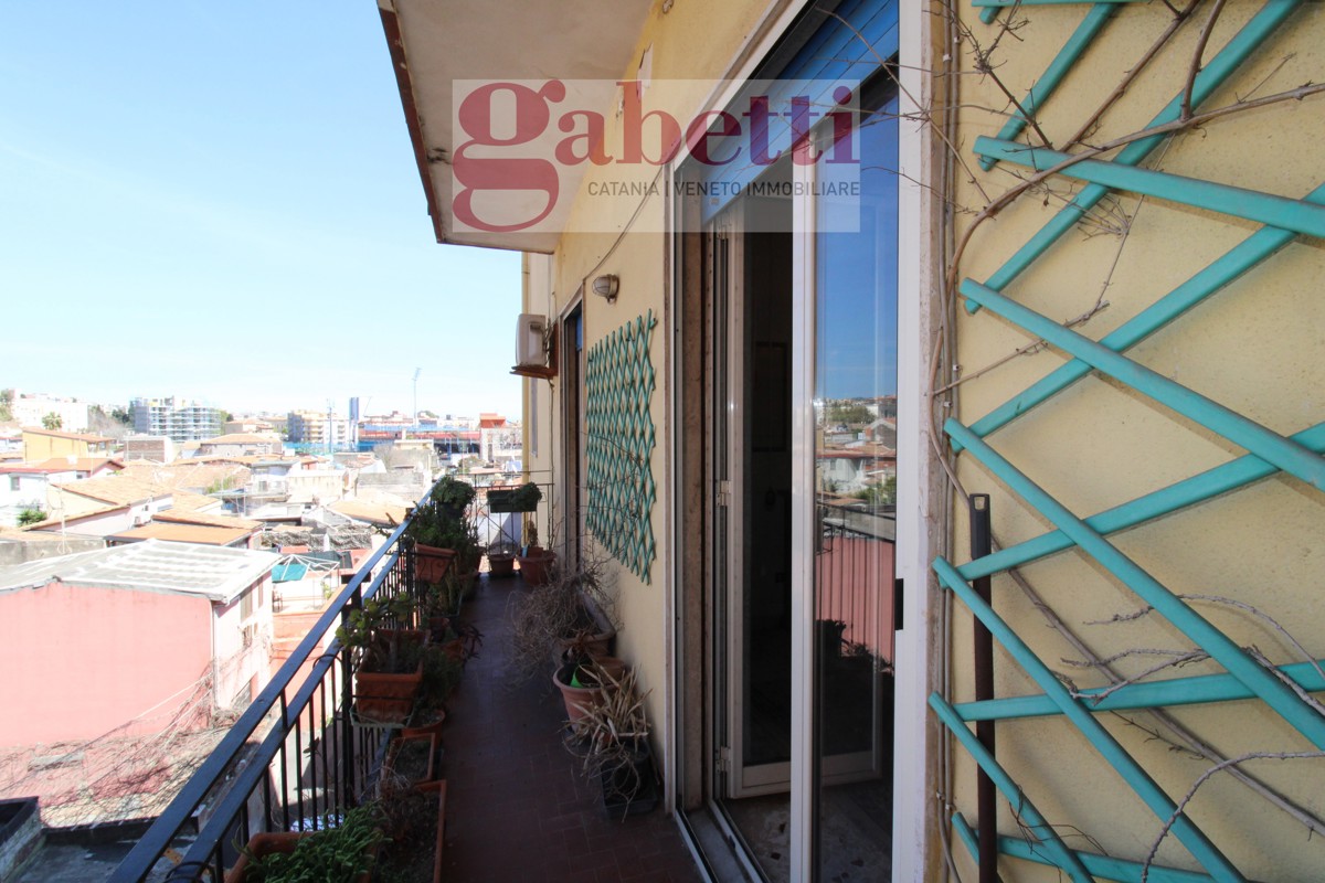 Foto 23 di 25 - Appartamento in vendita a Catania