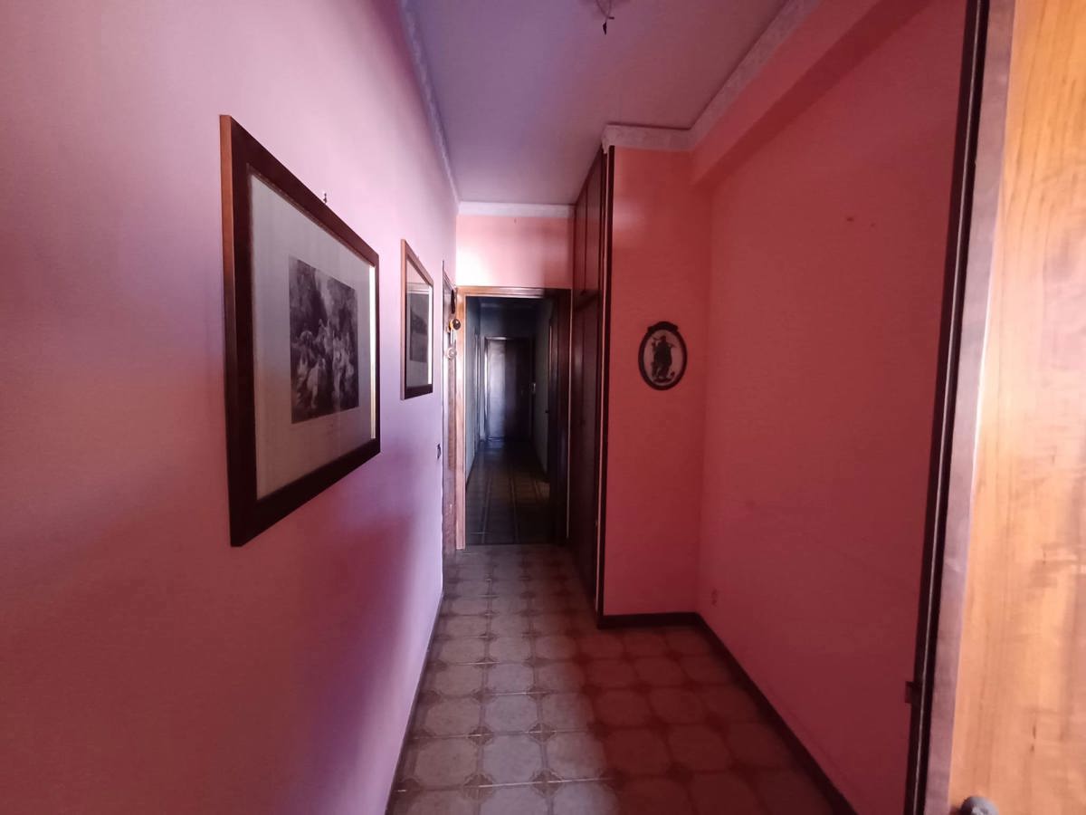 Foto 2 di 14 - Appartamento in vendita a Bagheria