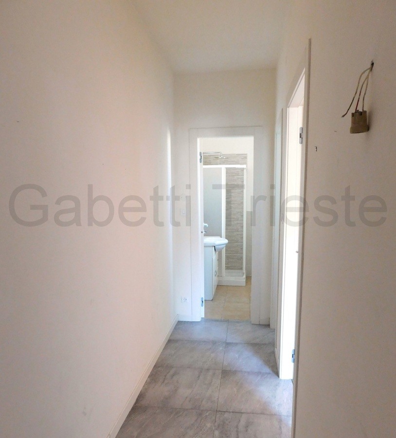 Foto 4 di 9 - Appartamento in affitto a Trieste