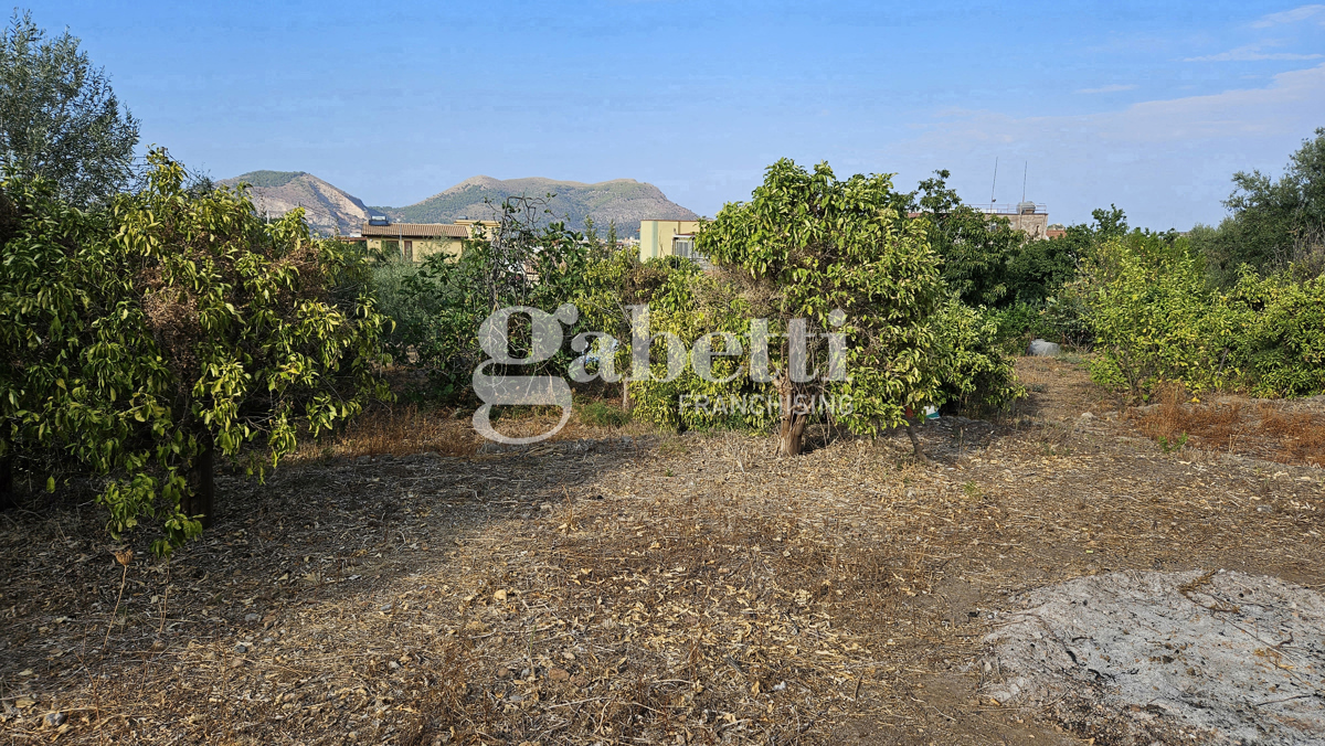 Foto 5 di 6 - Terreno in vendita a Bagheria
