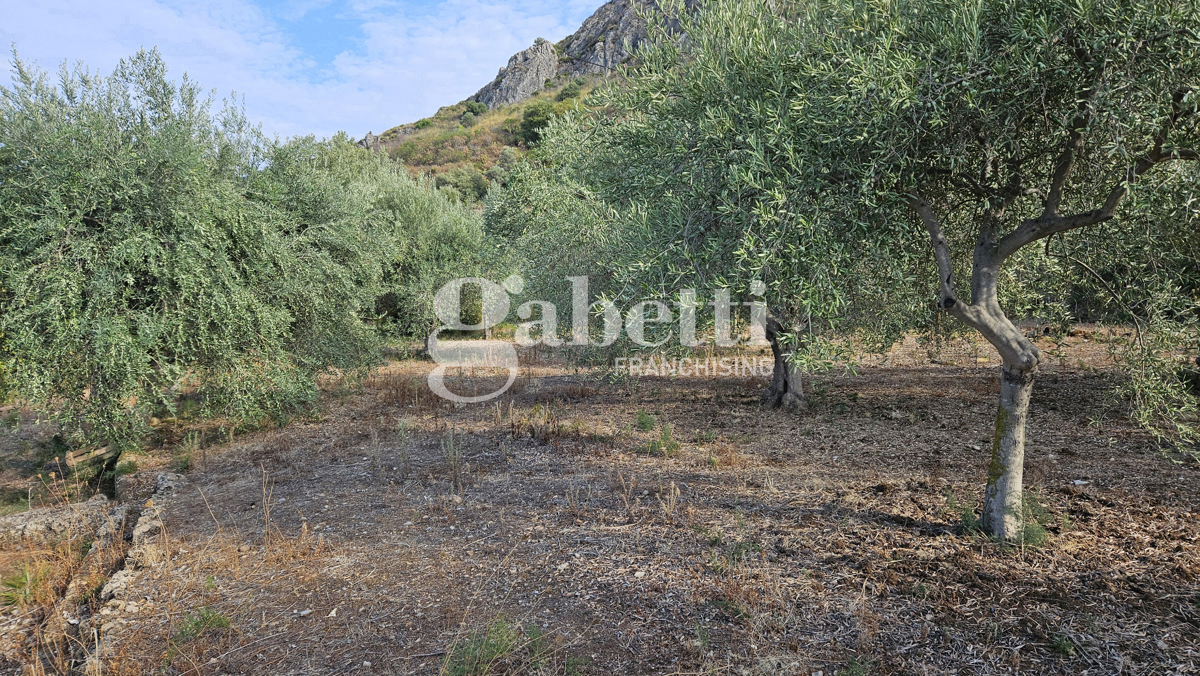 Foto 6 di 6 - Terreno in vendita a Bagheria