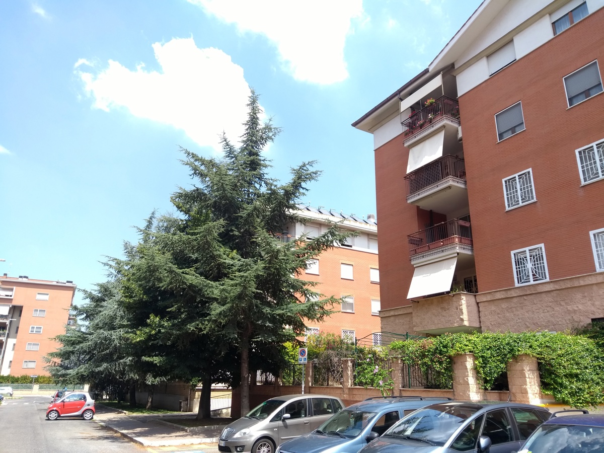 Foto 31 di 33 - Appartamento in affitto a Roma