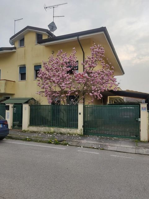 Foto 1 di 24 - Villa a schiera in vendita a Papozze