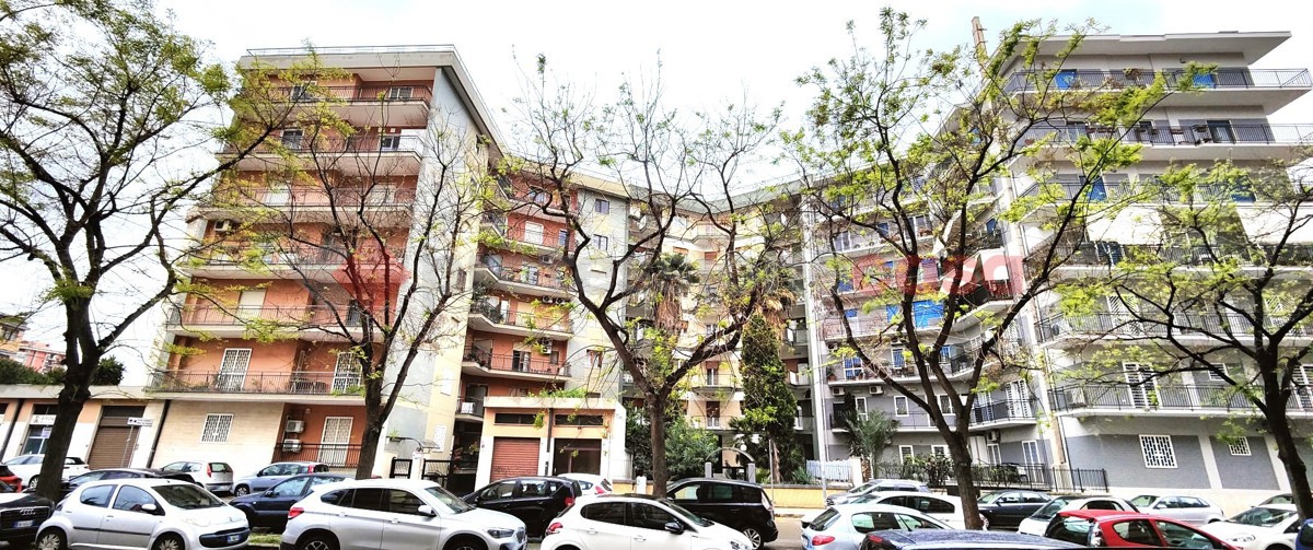 Foto 12 di 12 - Appartamento in vendita a Bari