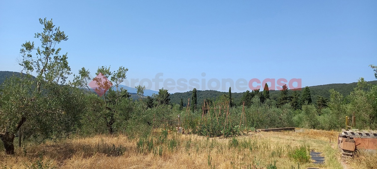 Foto 5 di 10 - Terreno in vendita a Montecatini Val di Cecina