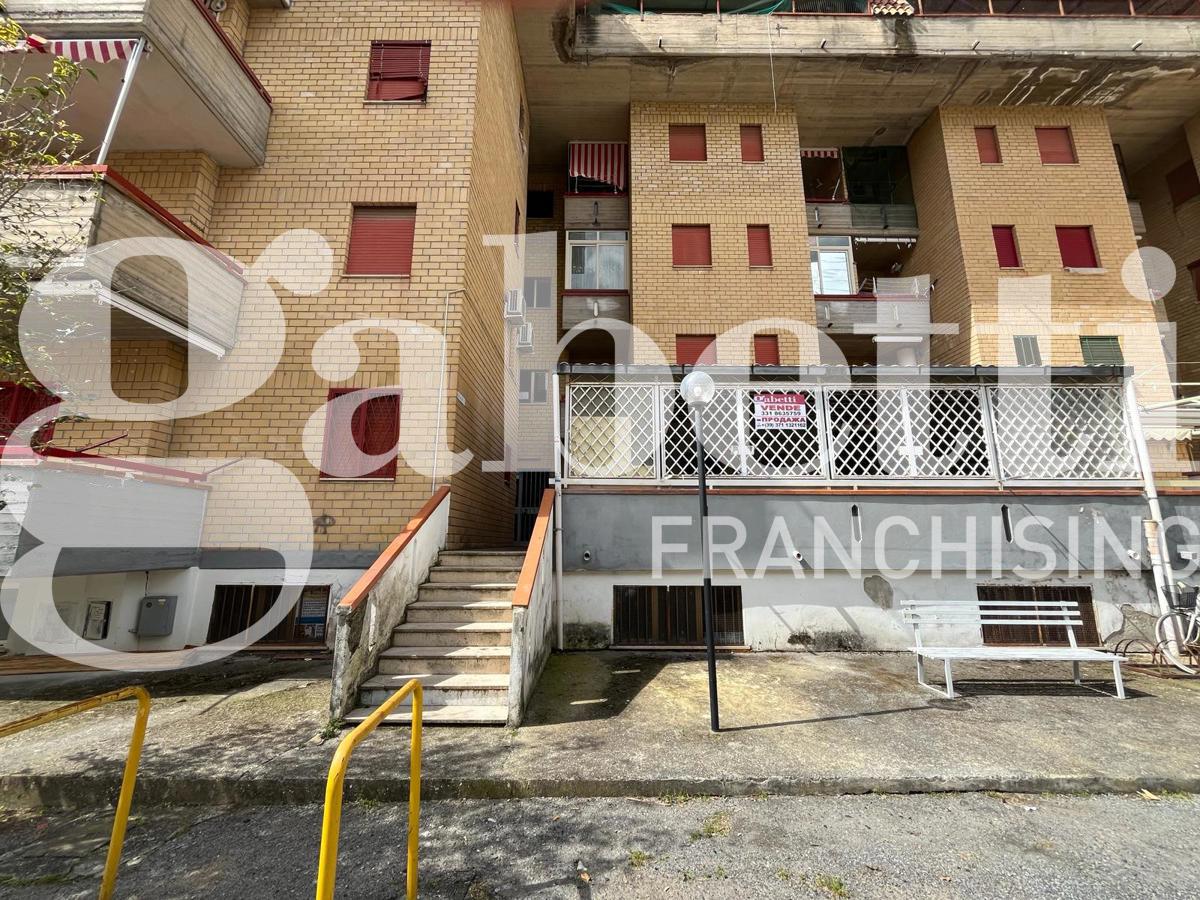 Foto 3 di 18 - Appartamento in vendita a Scalea