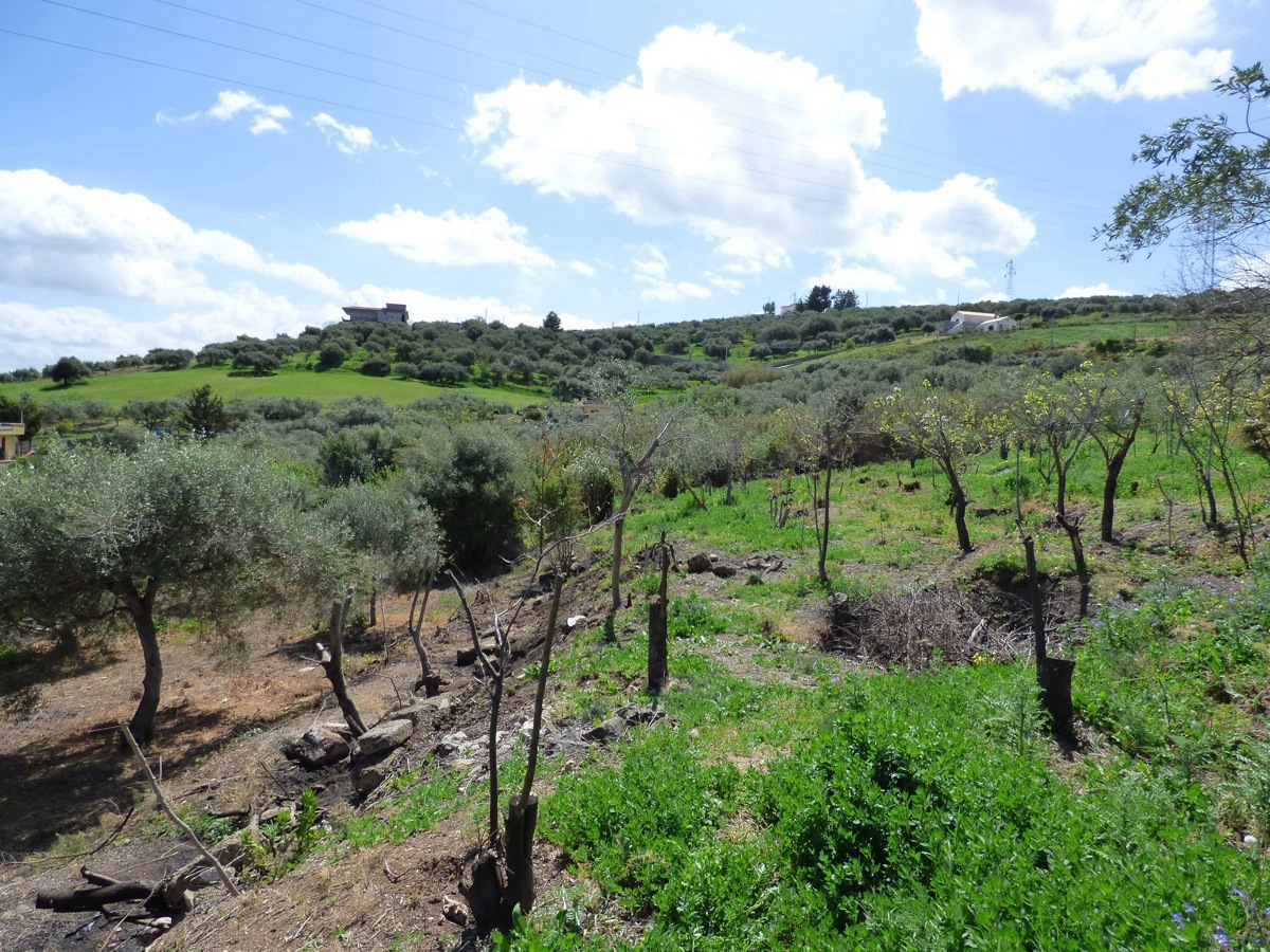Foto 8 di 10 - Terreno in vendita a Bagheria