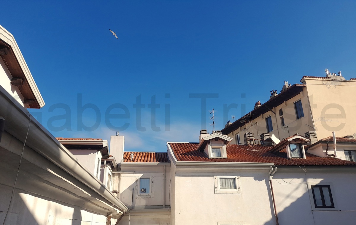 Foto 1 di 11 - Appartamento in vendita a Trieste