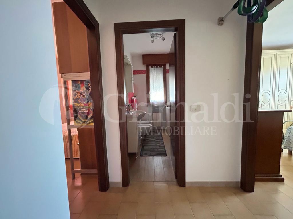 Foto 3 di 29 - Appartamento in vendita a Castelbellino