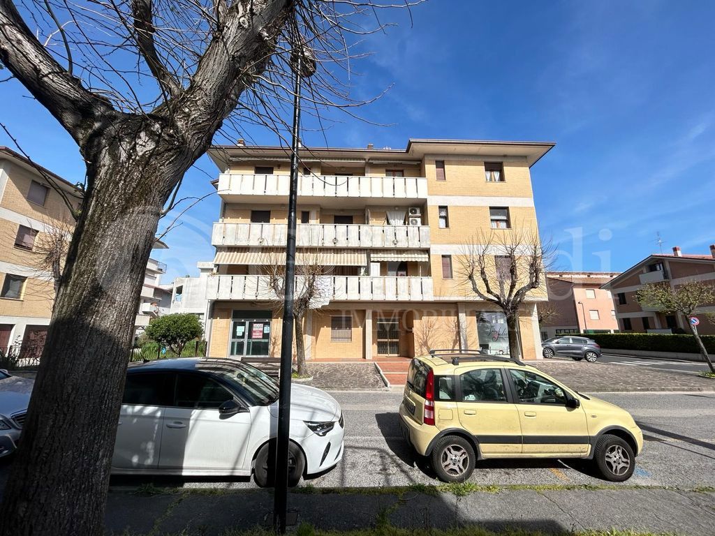 Foto 20 di 29 - Appartamento in vendita a Castelbellino