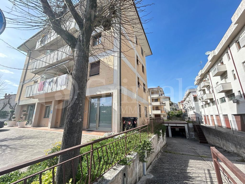 Foto 11 di 29 - Appartamento in vendita a Castelbellino