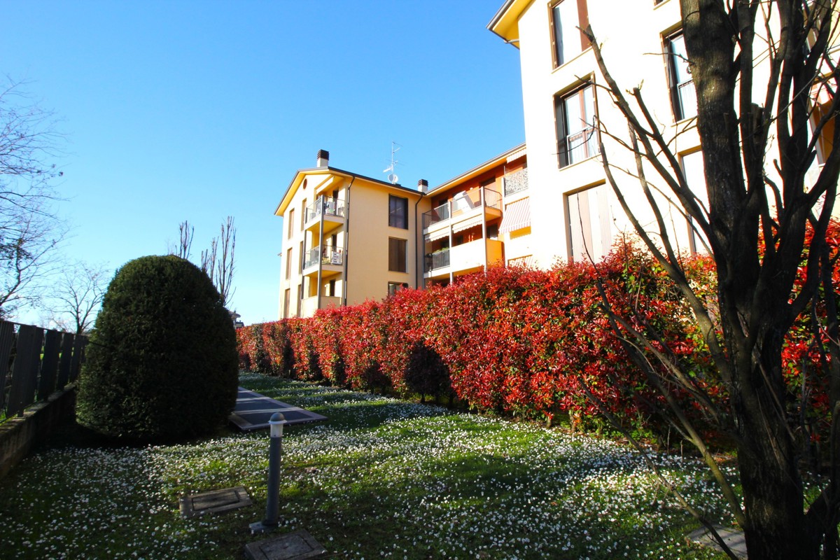 Foto 2 di 23 - Appartamento in vendita a Legnano