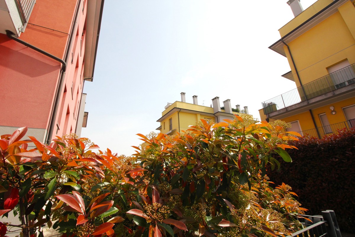 Foto 20 di 24 - Appartamento in vendita a Cerro Maggiore