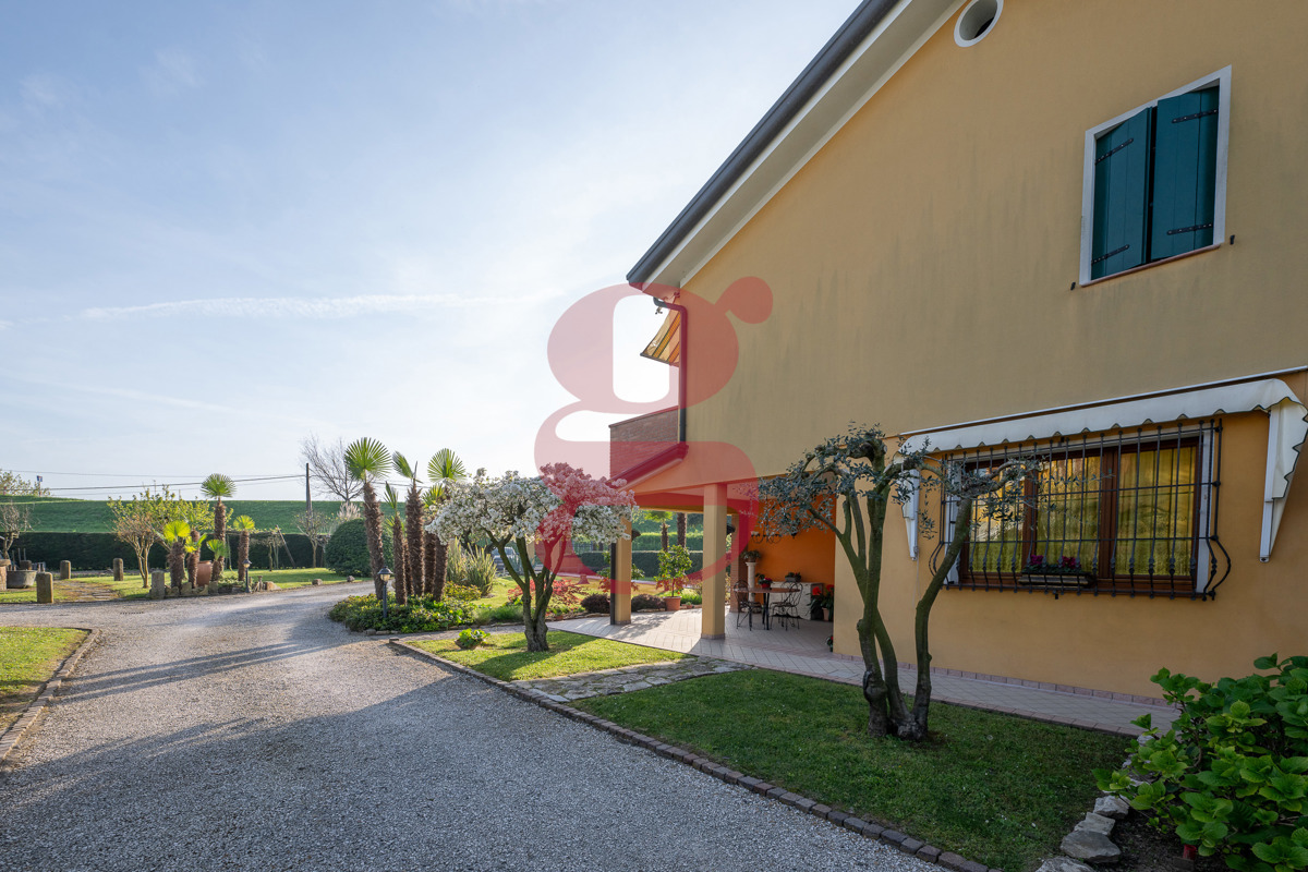 Foto 41 di 45 - Villa in vendita a Vigonovo