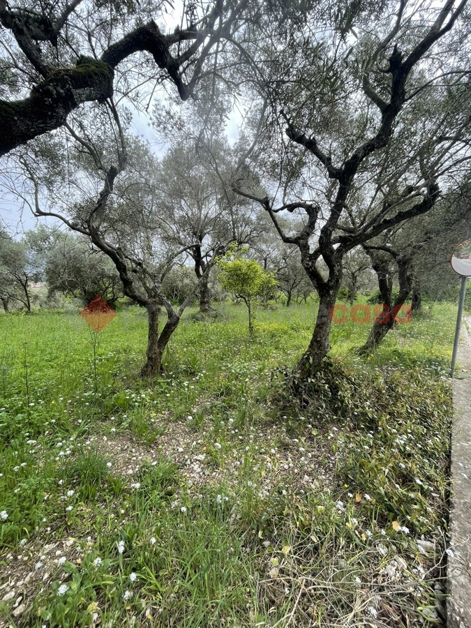 Terreno agricolo in vendita a Santi Cosma E Damiano (LT)
