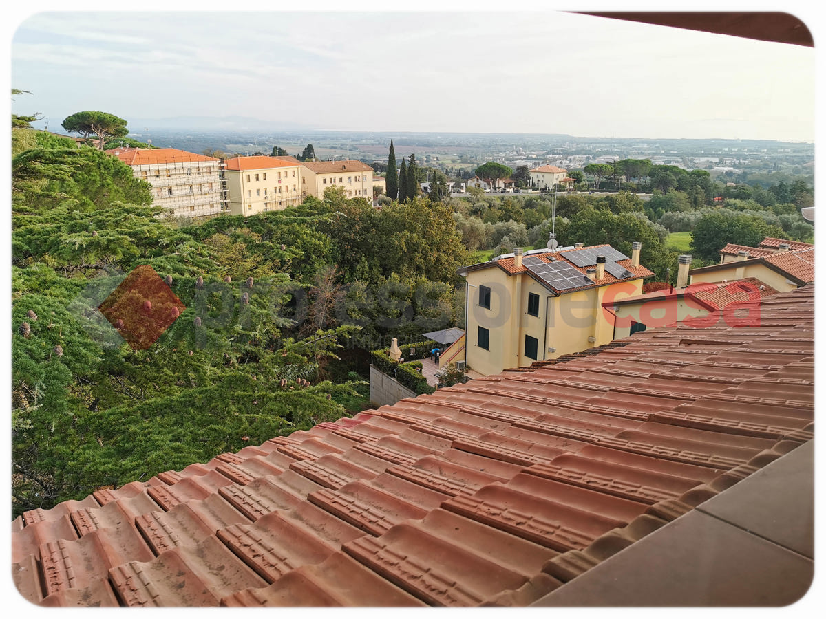 Foto 30 di 39 - Appartamento in affitto a Rosignano Marittimo