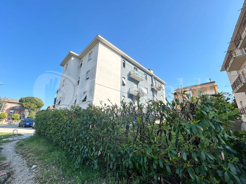 Foto 1 di 22 - Appartamento in vendita a Monte San Vito