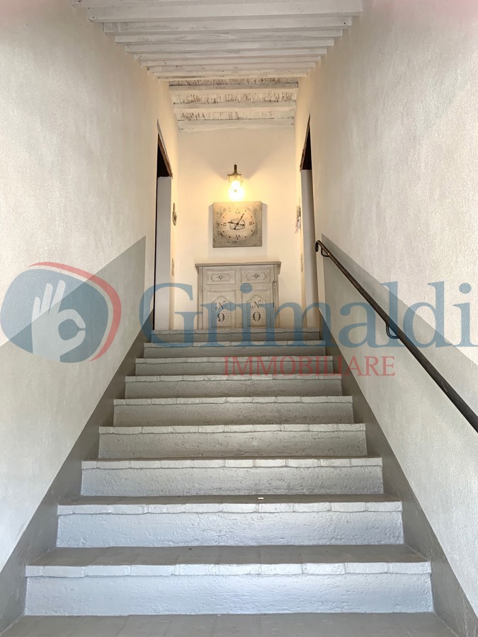 Foto 3 di 19 - Appartamento in affitto a Assisi