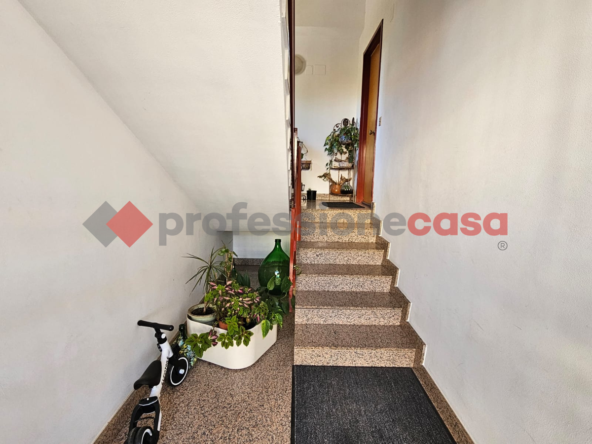 Foto 4 di 9 - Appartamento in vendita a Mascalucia