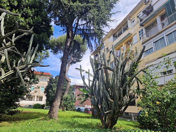 Foto 1 di 29 - Appartamento in vendita a Napoli