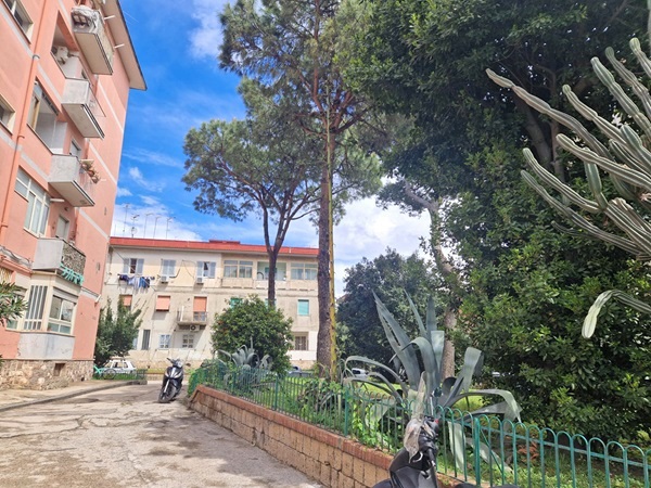 Foto 2 di 29 - Appartamento in vendita a Napoli