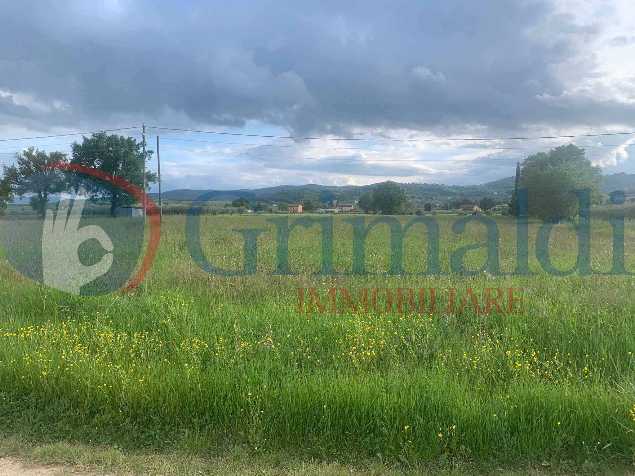 Terreno edificabile in vendita a Cannara (PG)