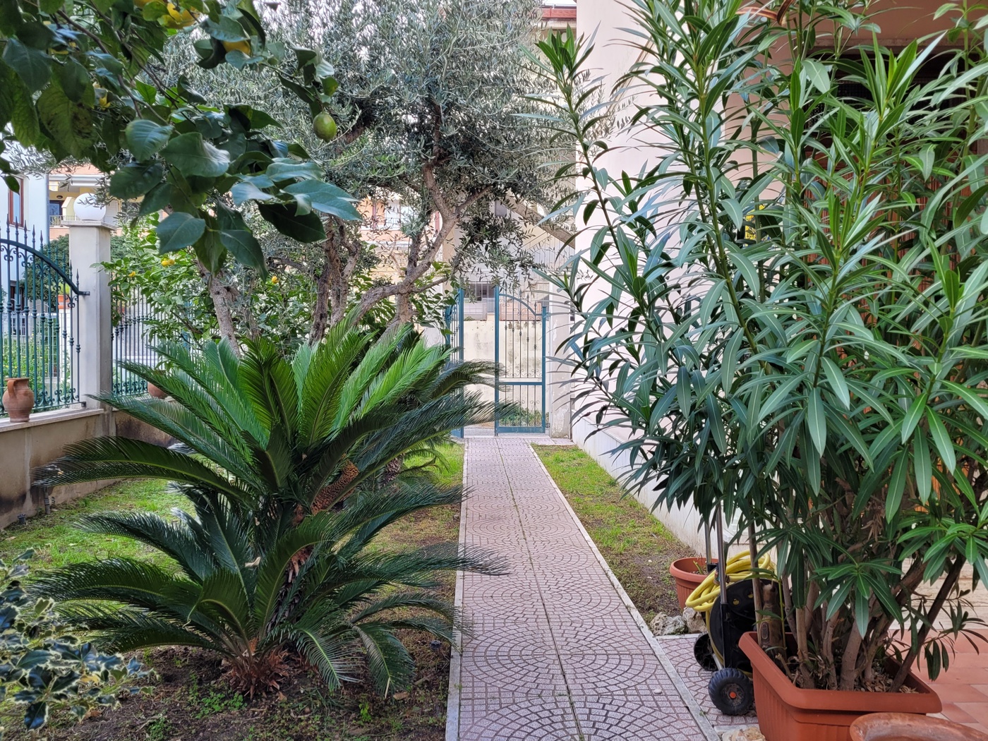 immagine annuncio 4 di 15