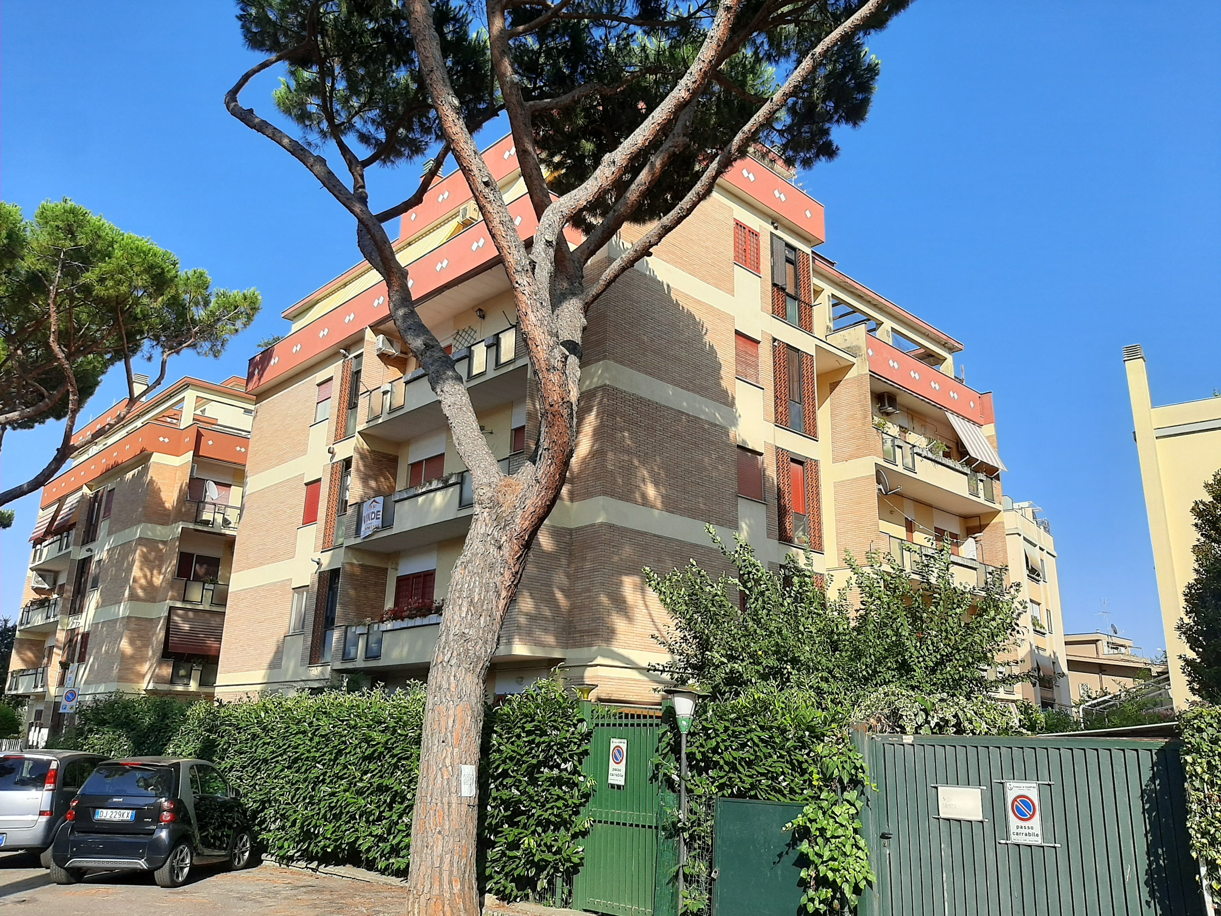 Foto 2 di 19 - Appartamento in affitto a Ciampino