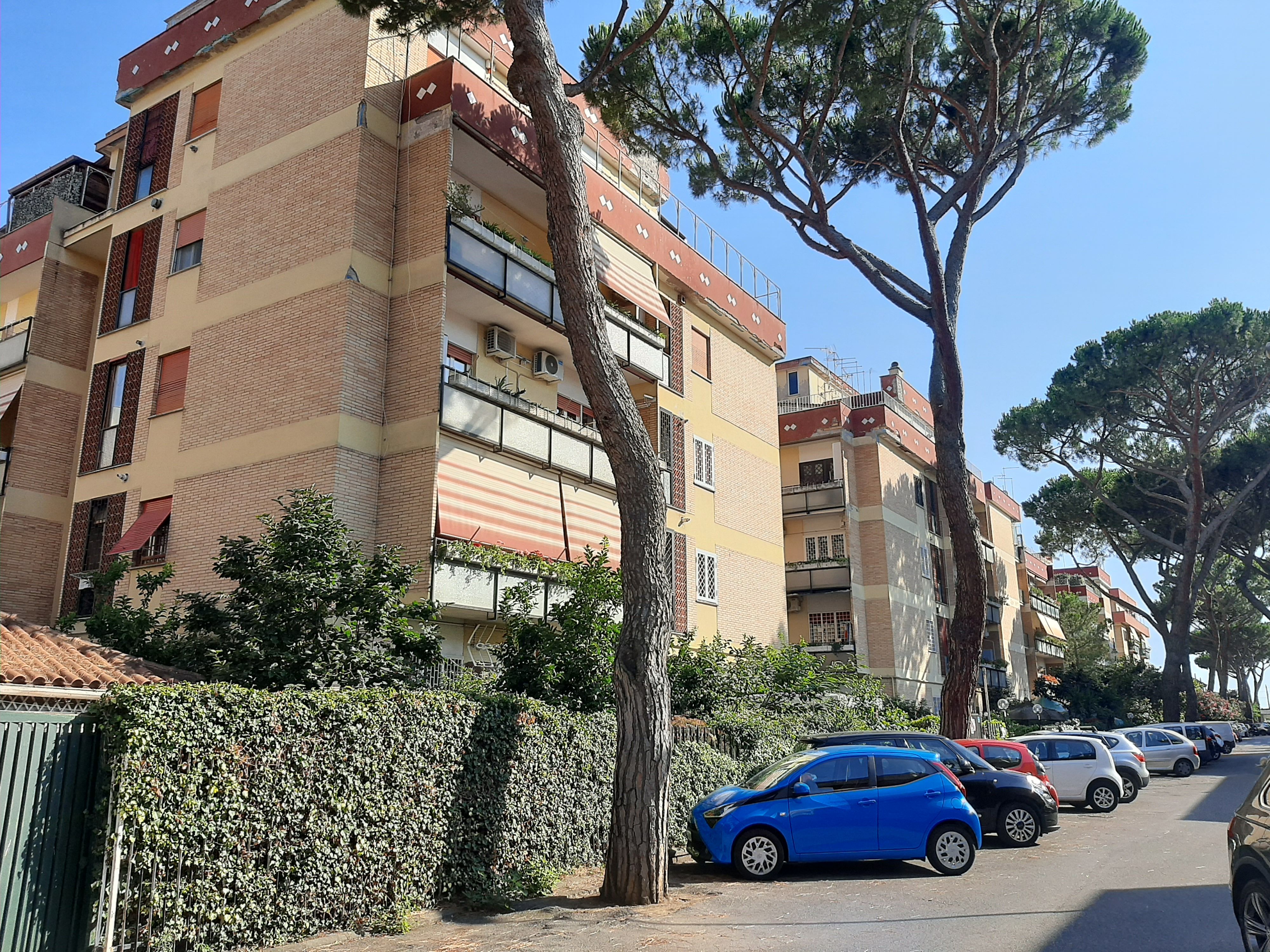 Foto 4 di 19 - Appartamento in affitto a Ciampino