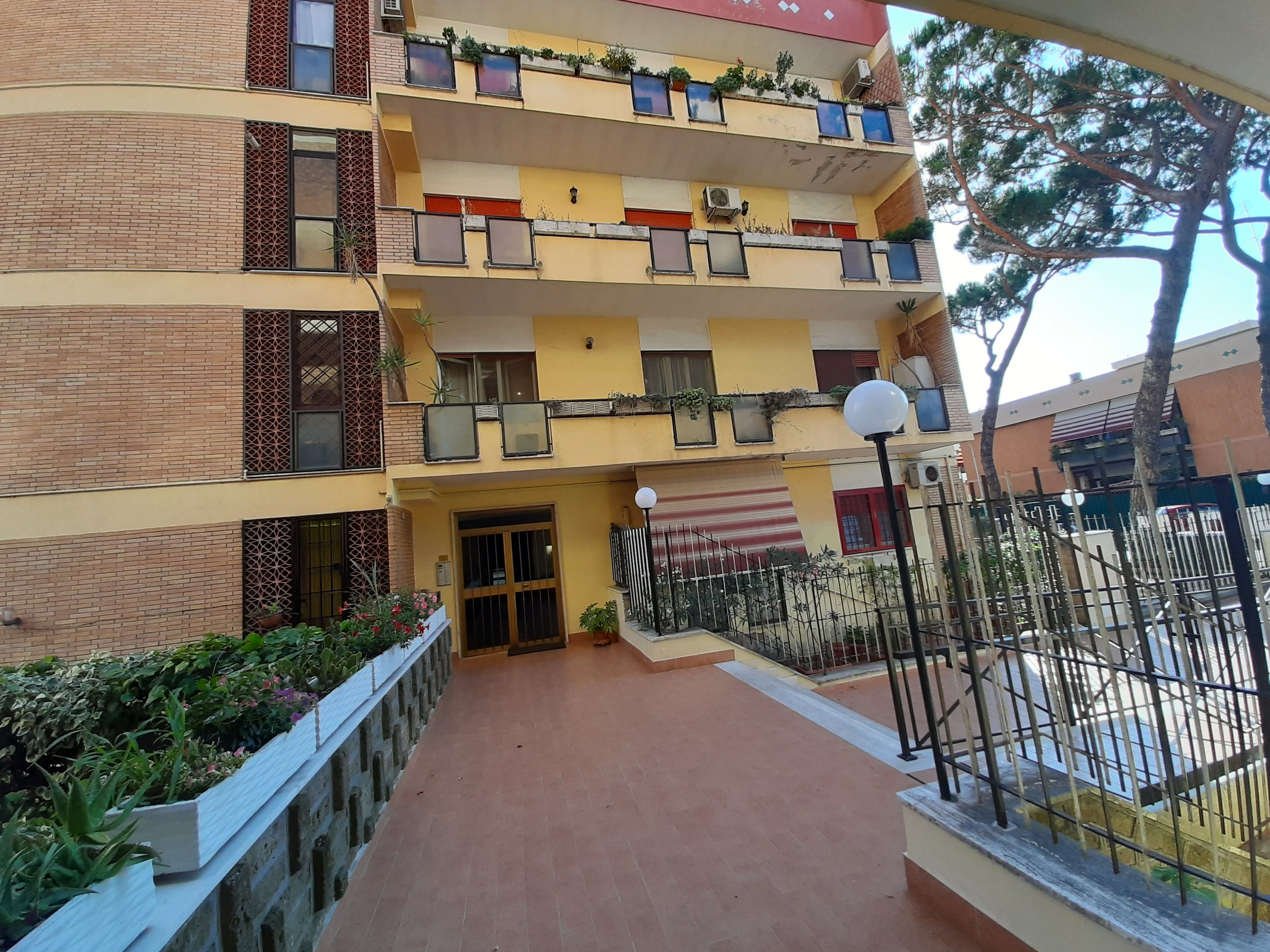 Foto 5 di 19 - Appartamento in affitto a Ciampino
