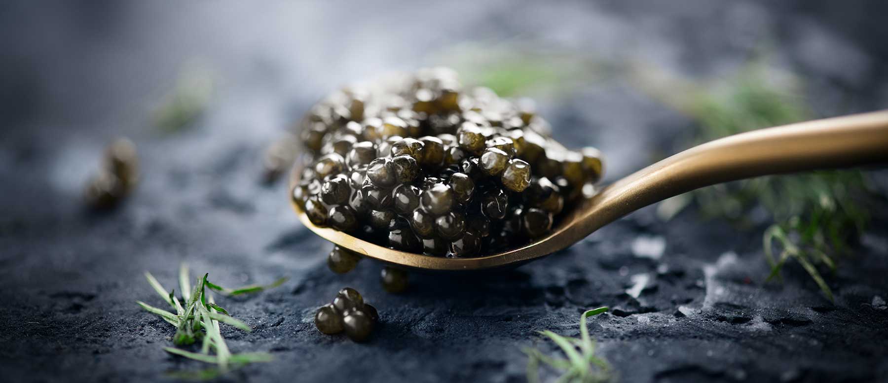 All about caviar: from the different types to the price of the world's most expensive one